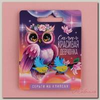Клипсы 'Самая красивая' 6х9 см