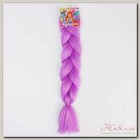 Канекалон сиреневый, WINX