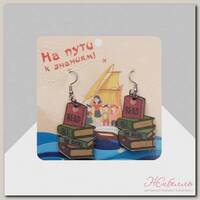 Серьги 'Школа' книги, цветные в серебре