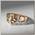 Кольцо 'Лапка' с сердцем, цвет золото, безразмерное