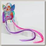 Цветные пряди, WINX, 2 шт